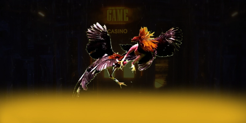 LC88 - Ứng dụng giải trí minh bạch trên thị trường – Khám phá cơ chế bảo mật hiện đại tại LC88 LC88 - Ứng dụng giải trí minh bạch trên thị trường – Khám phá cơ chế bảo mật hiện đại tại LC88