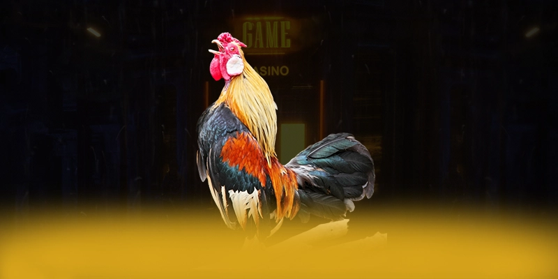 DAGA88 - Cổng trò chơi giá trị nhất được giới cược thủ đánh giá cao – Tìm hiểu khuyến mãi độc quyền của DAGA88 DAGA88 - Cổng trò chơi giá trị nhất được giới cược thủ đánh giá cao – Tìm hiểu khuyến mãi độc quyền của DAGA88