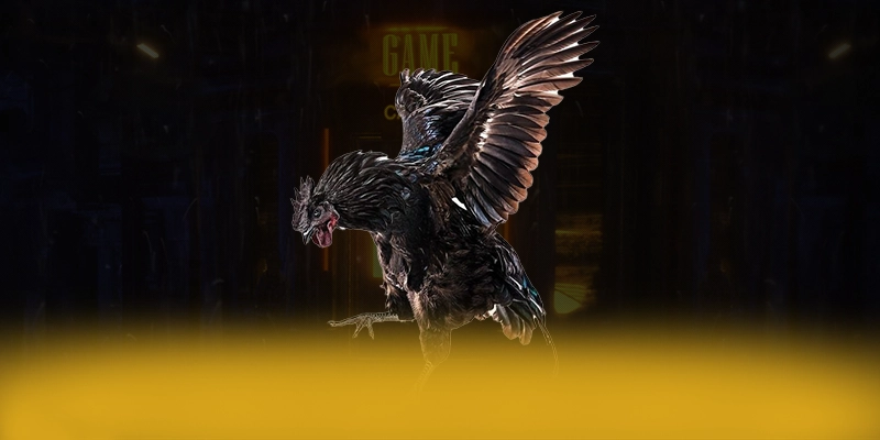 N88 - Hệ thống trò chơi trực tuyến đang được quan tâm hàng đầu hiện nay – Khám phá ngay N88