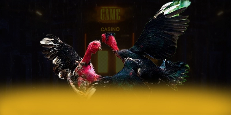 KUWIN - Ứng dụng giải trí sở hữu kho game phong phú 2025 – Tổng hợp game hot tại KUWIN KUWIN - Ứng dụng giải trí sở hữu kho game phong phú 2025 – Tổng hợp game hot tại KUWIN