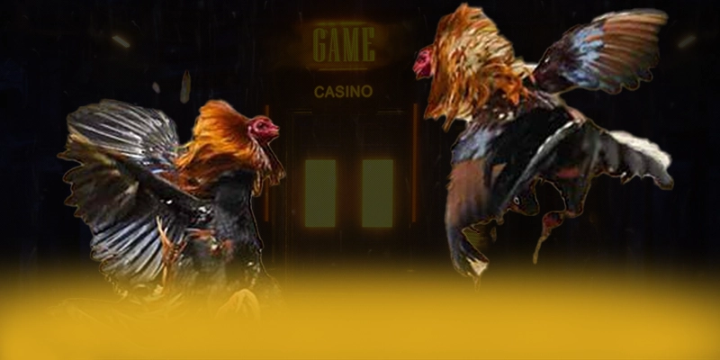 SA88 - Trang game ổn định tại Việt Nam SA88 - Trang game ổn định tại Việt Nam