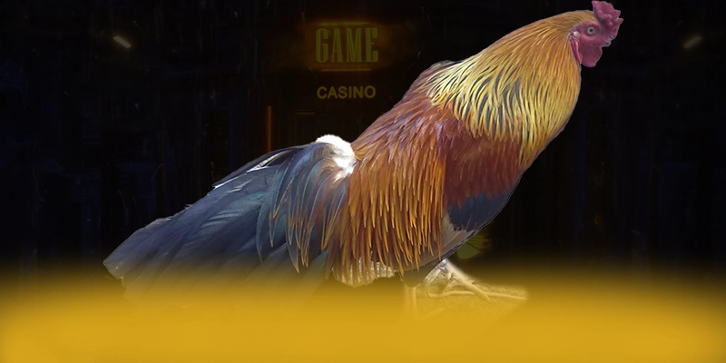 DAGA88 - Cổng trò chơi được cộng đồng yêu thích nhất hiện nay – Tổng hợp game hot tại DAGA88