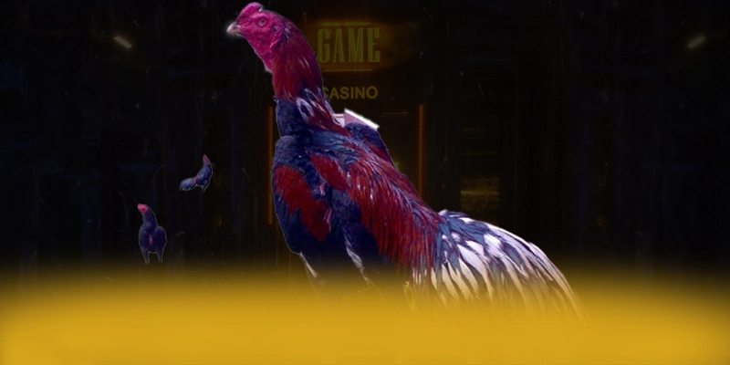 CONGA6789 - Kết luận tổng thể về nền tảng này dưới góc nhìn chuyên môn.