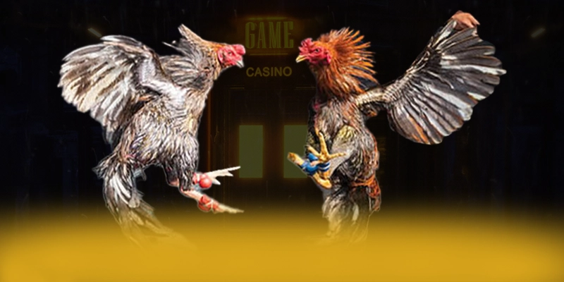 789WIN - Ứng dụng giải trí sở hữu kho game phong phú được giới cược thủ tin tưởng – Điểm qua 789WIN