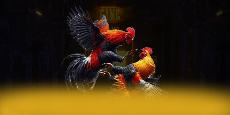 FAFA191 - Cổng cá cược được game thủ tin tưởng được yêu thích nhất FAFA191 - Cổng cá cược được game thủ tin tưởng được yêu thích nhất