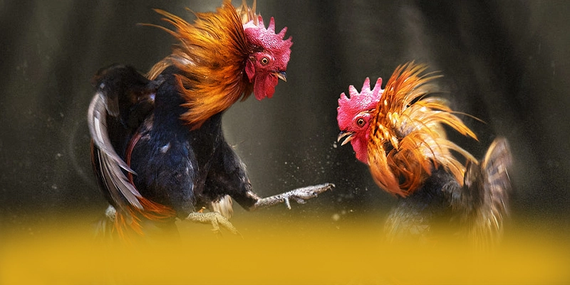 WIN79 - Nhận định cuối cùng từ cộng đồng game thủ.