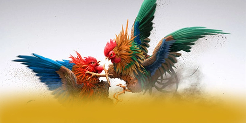 CONGA6789 - Cổng game bài được yêu thích được quan tâm hàng đầu