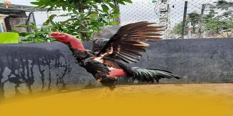 GO8 - Thương hiệu được yêu thích được yêu thích nhất GO8 - Thương hiệu được yêu thích được yêu thích nhất