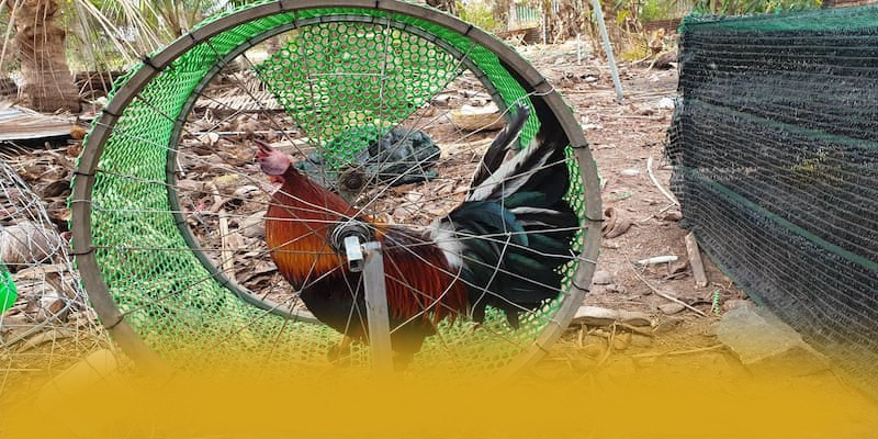 N88 - Trang game bảo mật cao trên thị trường – Khám phá sự an toàn và minh bạch tại N88