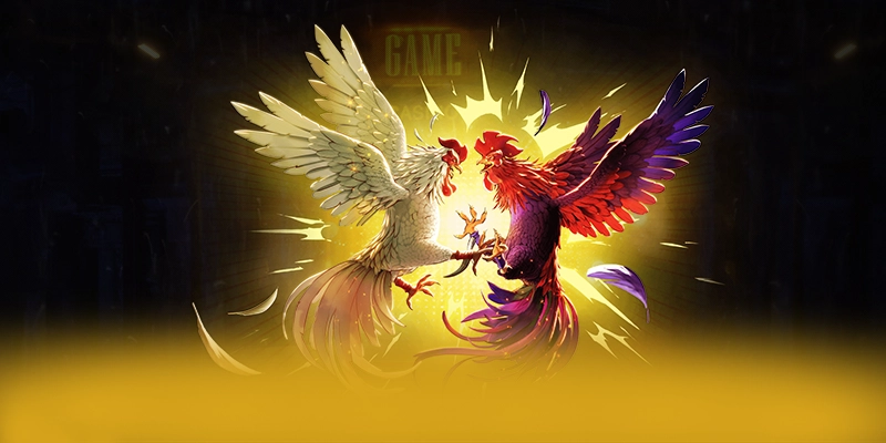 KKWIN - Sảnh game tối ưu hiện nay KKWIN - Sảnh game tối ưu hiện nay