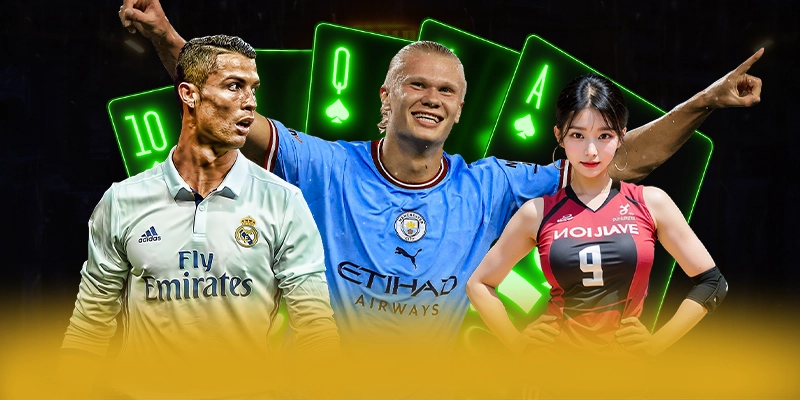 8xbet - Cong giai tri chuyen nghiep hien nay