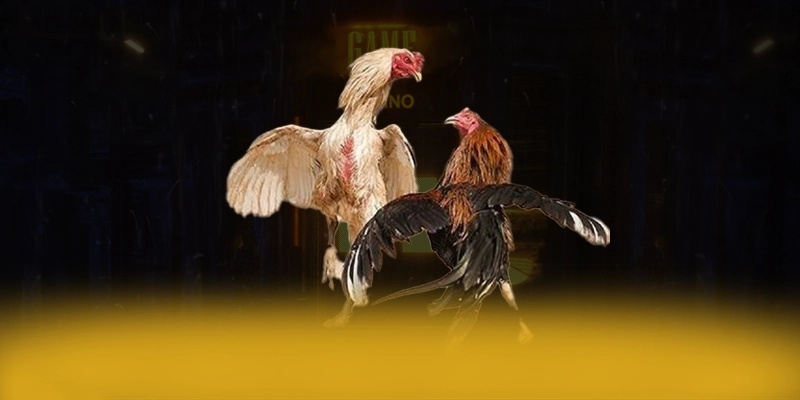 vào rồi tv - Sảnh game ổn định 24/7 cả điện thoại lẫn máy tính