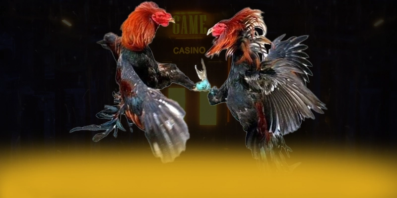 Review chi tiết 8XBET - Nhà cái uy tín số 1 tại Việt Nam