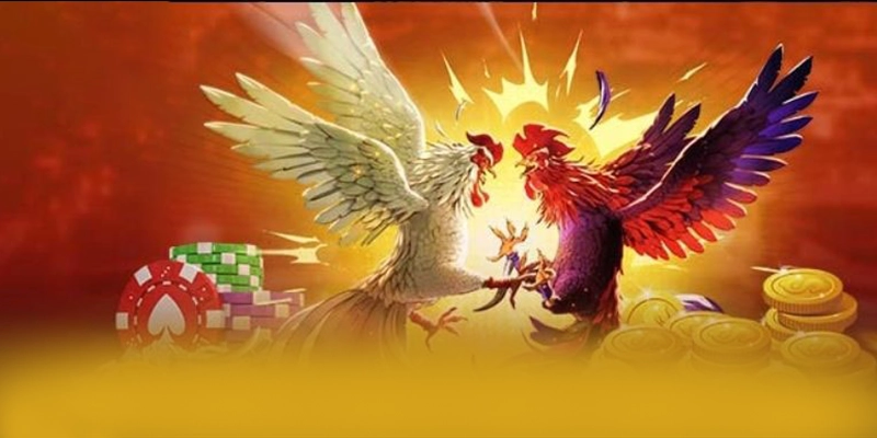 FB88 - Sân chơi sở hữu kho game phong phú hiện nay